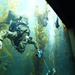 EOD Diver Presentation at Birch Aquarium During San Diego Fleet Week 2016