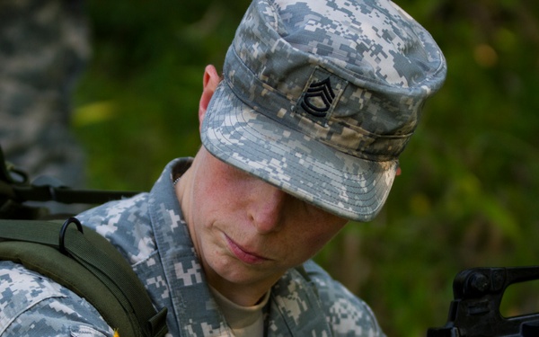 From the desk to the field