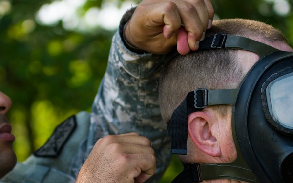 From the desk to the field