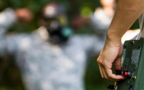 From the desk to the field