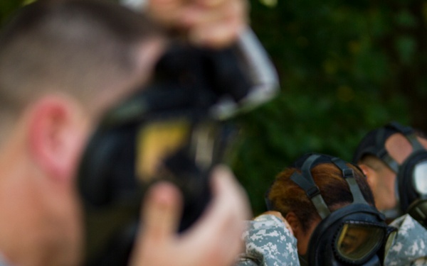 From the desk to the field