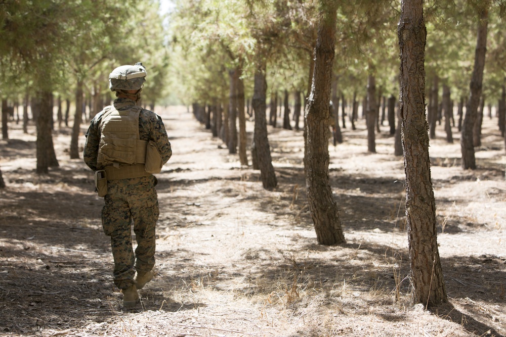 Crisis Response Marines refresh basic infantry skills