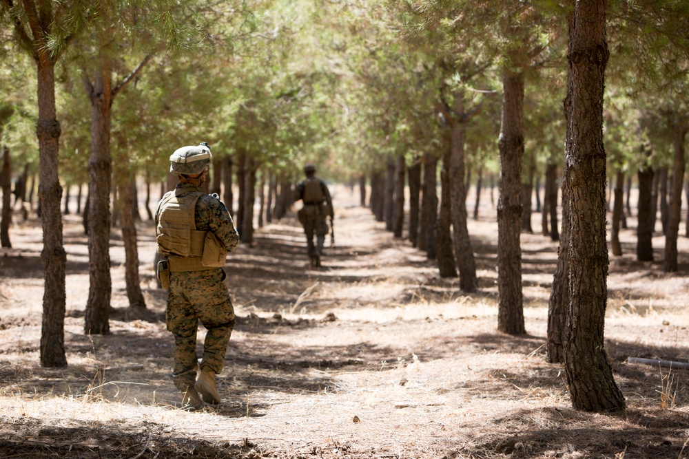 Crisis Response Marines refresh basic infantry skills