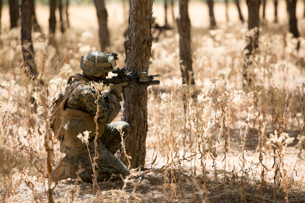 Crisis Response Marines refresh basic infantry skills