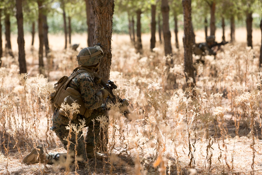 Crisis Response Marines refresh basic infantry skills