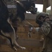 Spartan Race at Fort Bragg