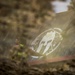 Spartan Race at Fort Bragg