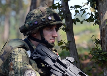 Croatian mobile infantry shows off Croatia’s military might during IR16