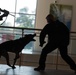 947th K9s at Fort Belvoir Community Hospital