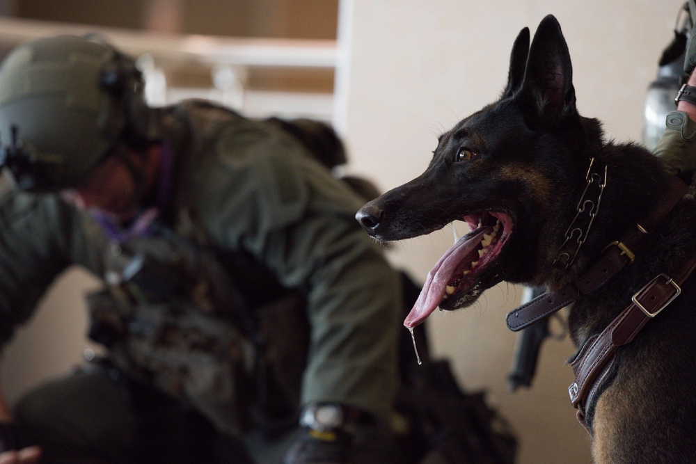 947th K9s at FBCH