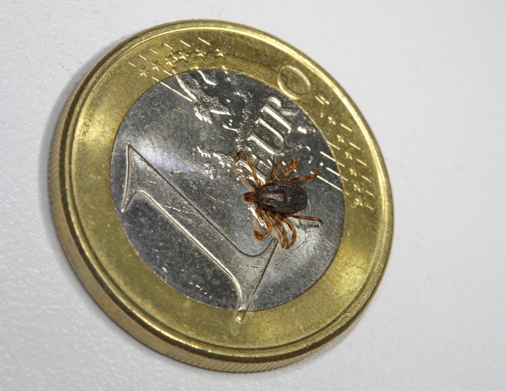 Tick Awareness