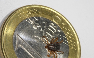 Tick Awareness