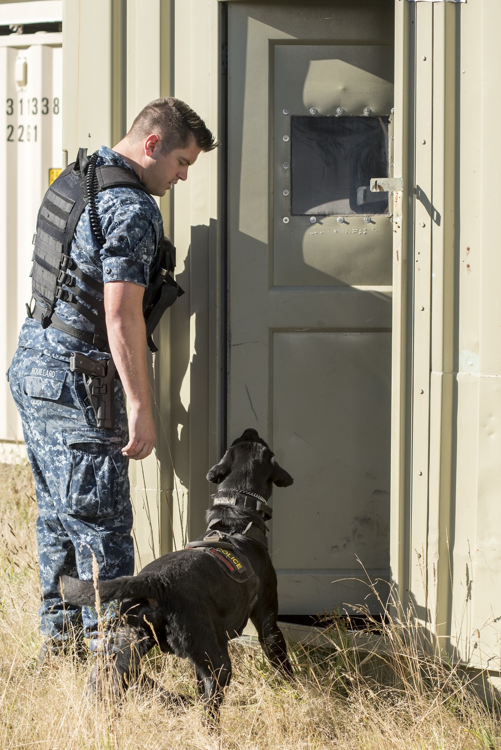 Military Working Dog handlers train at Naval Base Kitsap