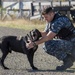 Military Working Dog handlers train at Naval Base Kitsap