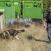 Military Working Dog handlers train at Naval Base Kitsap