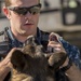 Military Working Dog handlers train at Naval Base Kitsap