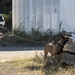 Military Working Dog handlers train at Naval Base Kitsap