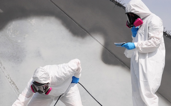 Aardvark static display goes “dark vark”