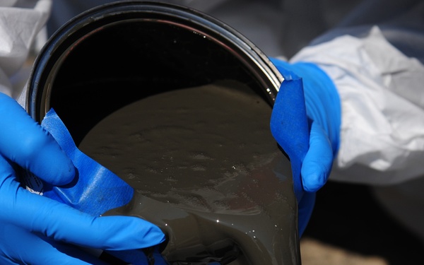 Aardvark static display goes “dark vark”