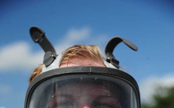 Aardvark static display goes “dark vark”