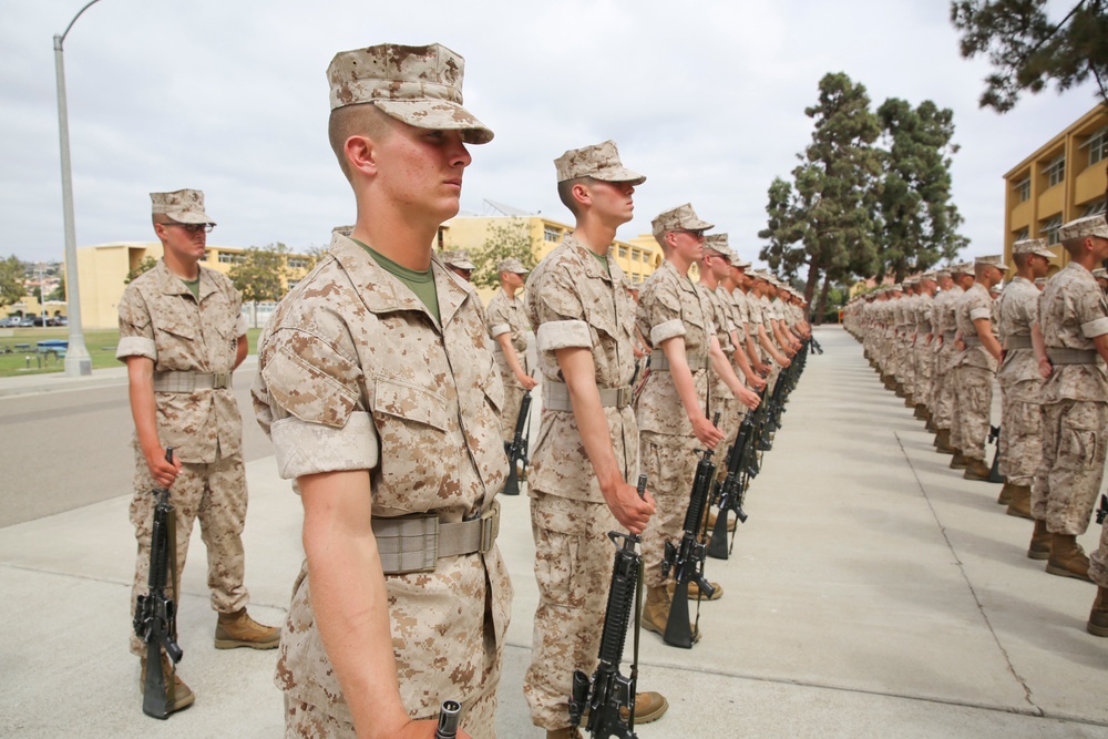 Dvids - Images - Bravo Co. – Series Commander Inspection – Sept. 13 