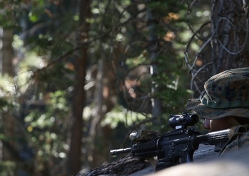 3rd Battalion 4th Marines take the mountains of Big Bear
