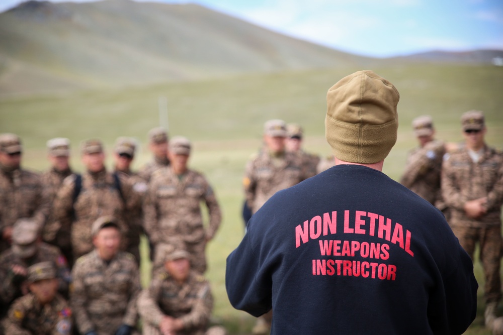 NOLES 16: Non-Lethal Live Fire
