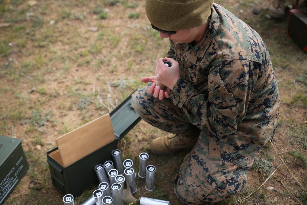 NOLES 16: Non-Lethal Live Fire