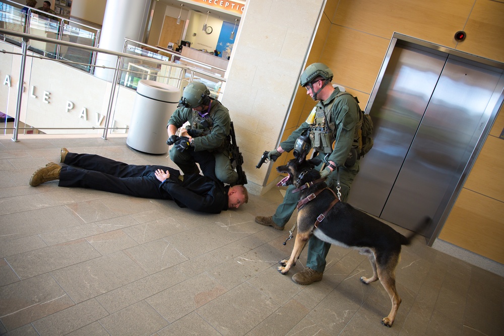 Exercise Capital Shield 2016