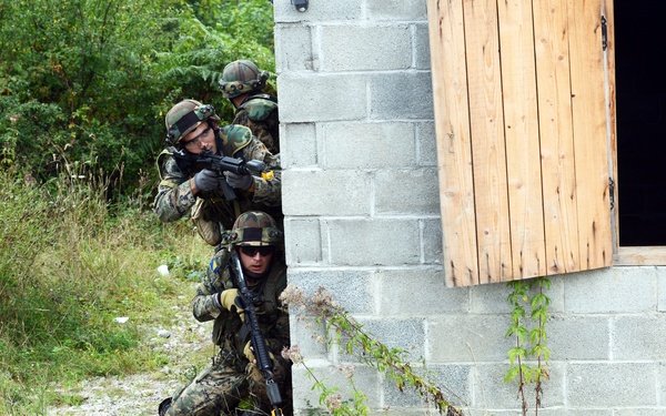 Bosnia and Herzegovina, Slovenian armed forces secure the ground for IR16
