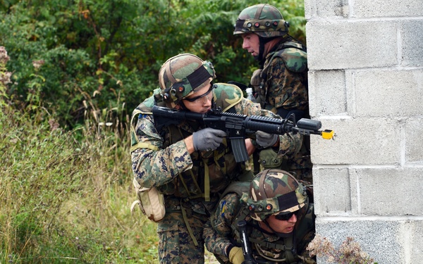 Bosnia and Herzegovina, Slovenian armed forces secure the ground for IR16