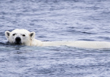 CGC Healy West Arctic Summer deployment, Mission #2