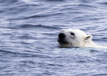 deployment, Mission #2