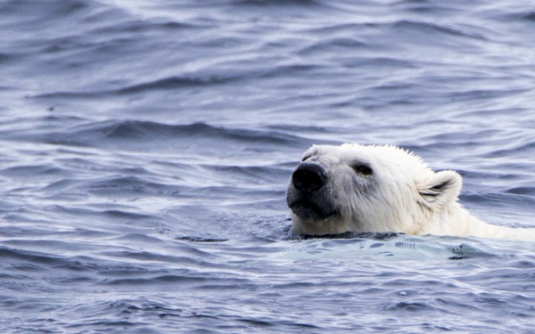 deployment, Mission #2