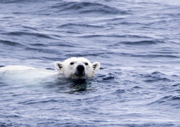 deployment, Mission #2