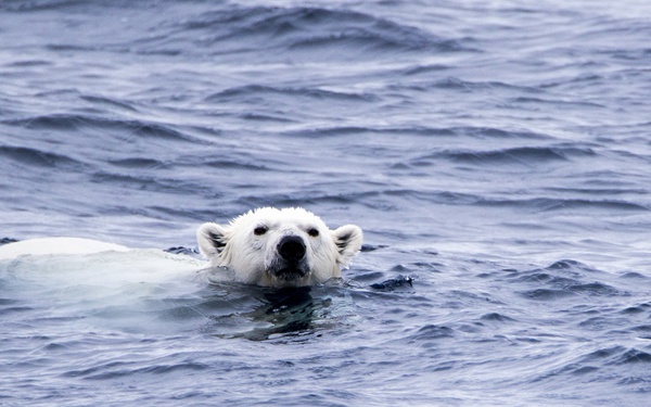 deployment, Mission #2