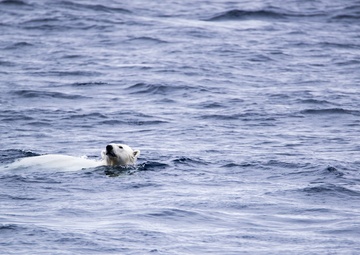 deployment, Mission #2