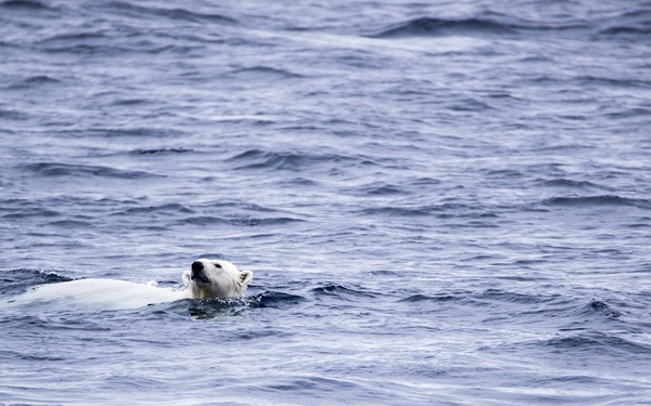 deployment, Mission #2