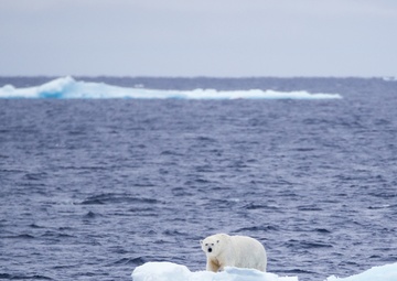 deployment, Mission #2