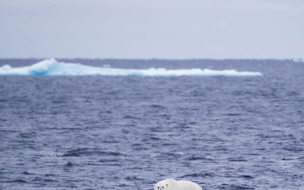 deployment, Mission #2