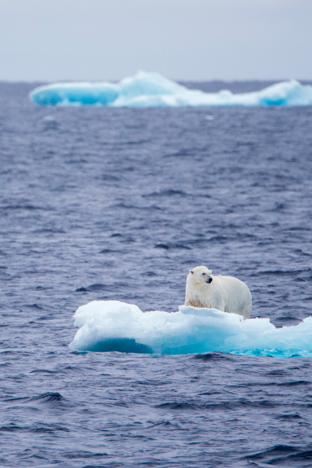 CGC Healy West Arctic summer deployment, Mission #2