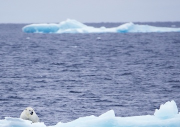 CGC Healy West Arctic summer deployment, Mission #2
