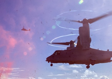 VMM-262 (Rein.) joins the 31st MEU