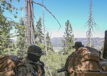3rd Battalion 4th Marines take the mountains of Big Bear