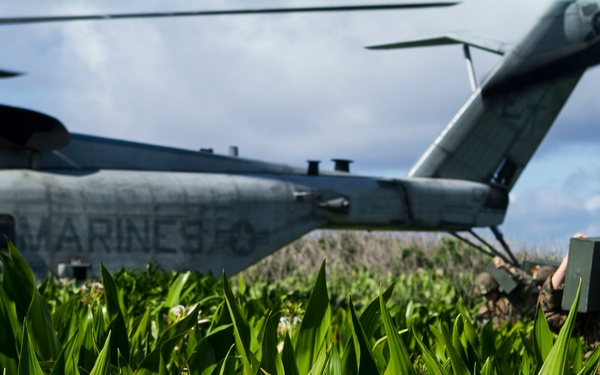 Mortarmen refine targeting on FDM