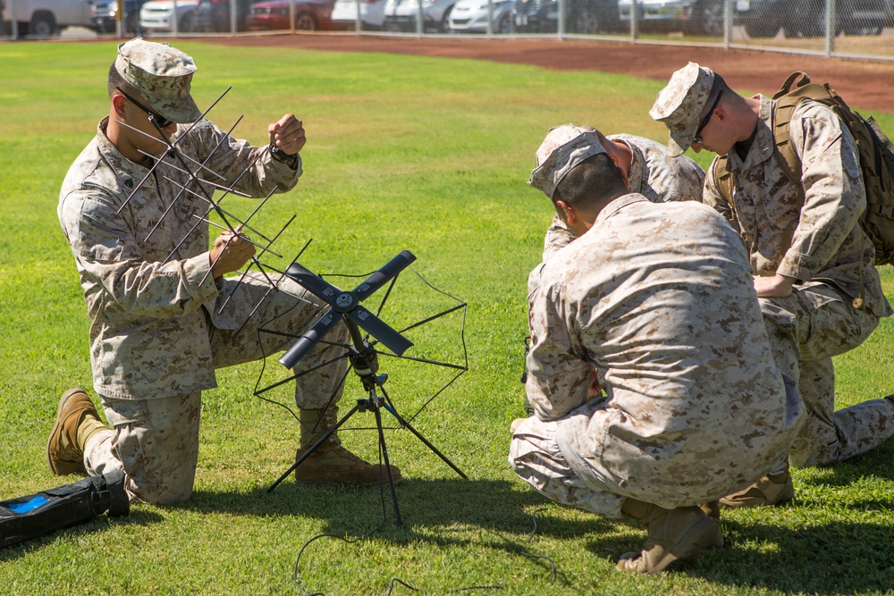 U.S. Marines conduct radio checks during WTI 1-17