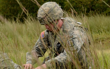 151st Expeditionary Signal Battalion trains for deployment