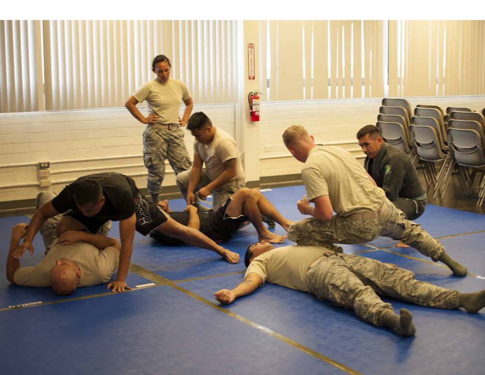Airmen from the 154th Security Forces Sqaudron conduct combative training
