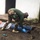 A person in military camouflage uniform with a green flag patch is bending over and attending to a person lying on the ground outdoors. The standing individual is wearing blue latex gloves, suggesting a medical or first-aid context. The scene appears to be a training exercise or emergency response scenario near a white building.
