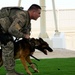 MWDs “pawsitively” impact base security